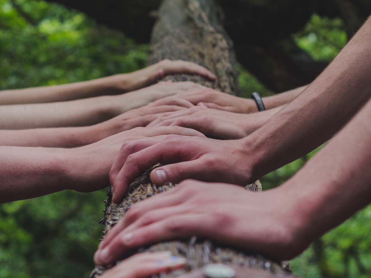 1200x900GMB-4 community all holding a tree